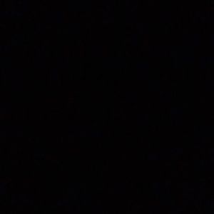 Meet your Posher, Doris